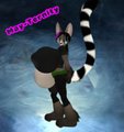 MT - Another Cute Ringtail