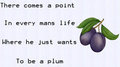 Just a plum