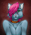 Yavy Badge