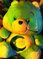 Bedtime Bear by Bedtime