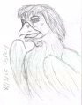 OG-Chicken-tf  by Osprey