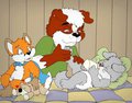 Baby Massage - Nelson88