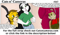 Cats n Cameras Strip #267 - A Little fun tonight?