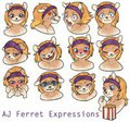 AJ Ferret Expression Chart