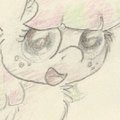 Blossom!