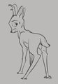 Deer Doodle.