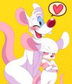 Pinky & the Brain~