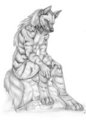 Zuberi
