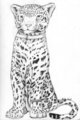 Drawing by Kuro (2)