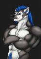 I see you staring by Silver_Shadowheart by CobaltBadger
