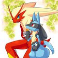 Blaziken/Lucario by lemoco