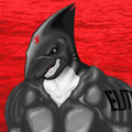 Noxton shark 