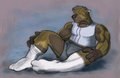 Lone Hyena in Socks