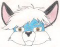 Solexfox headshot