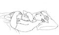 Bonnie and CO: Sleeping couple - Raph and Fiona