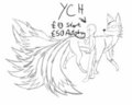 YCH - Wisdom of Knowledge by Ranos
