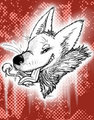 Corki