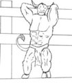 Fence Posing