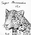 Drawing by Kuro (6)