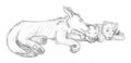 Soma, Kuro and cLx sleeping together