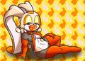 Bimbo Cream