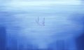 Sinking