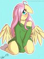 fluttershy