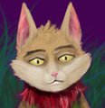 casual teemo