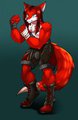 The Fox that can Box