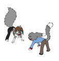 Between cats