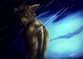 Wet