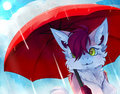 Summer Showers (by Zayger)