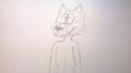 I drew a wolf  by PetertheWolf
