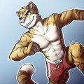 Tigrito random by Iztli