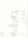 Sonic loves blood