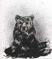 Bear Sketch