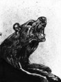 Bear Sketch 2