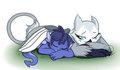 Cuddle buddies