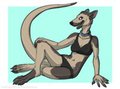 Caninehybrid commission 