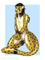 AndrewNeo commission 