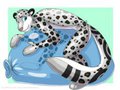 Squeezecheetahpaw commission  by DirtyBird