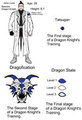 Salrie Character Sheet by Salrie