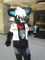 Saiyu by Saiyu
