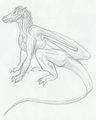 (Archive Work) Definitive How To Draw Zel Part 1 by Zelandeth