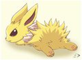 Little Jolteon