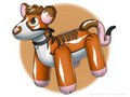 Rupert pool-toy