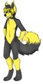 Negativo the husky (SFW reference) ^u^ by Negativo