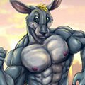 Mister Roo