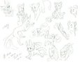 any sketching by Shyne