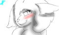 New fursona?